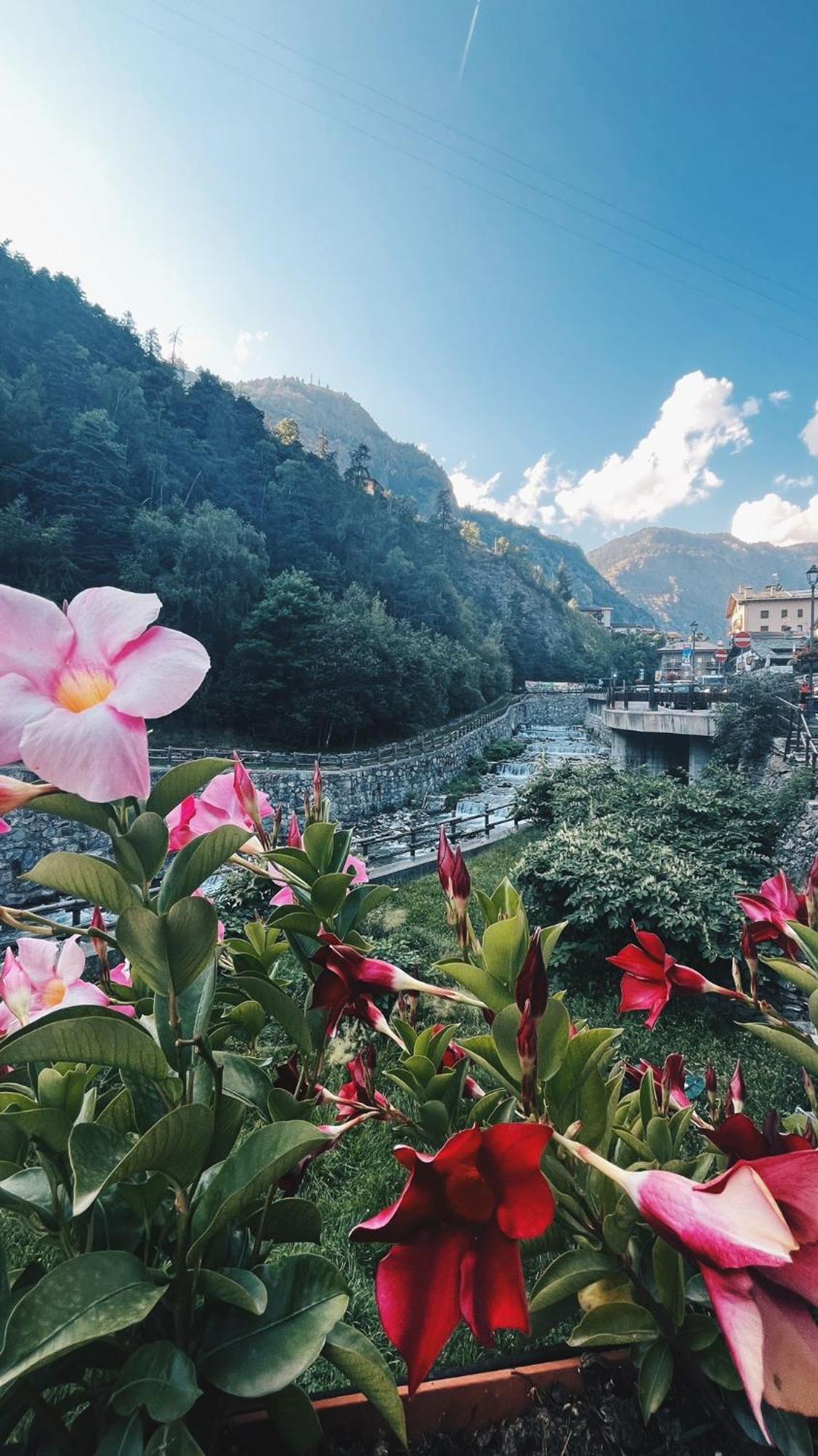 Locanda Monte Cervino อันเต-เซนท์-อันเดร ภายนอก รูปภาพ